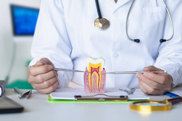 Best Emergency Wisdom Teeth Removal in Basile, LA